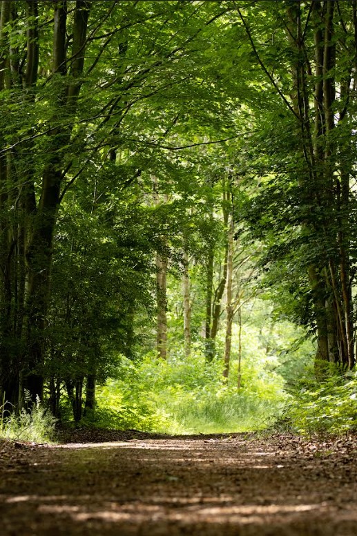 Natuurbegraafplaats Laude