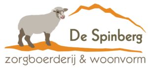 Spinberg